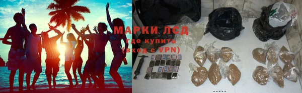 ECSTASY Белокуриха