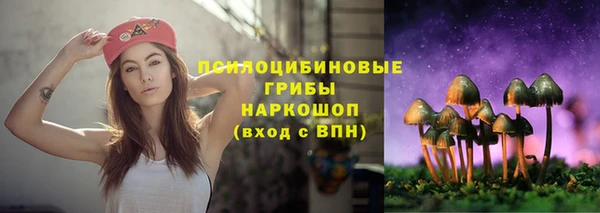 PSILOCYBIN Тутаев