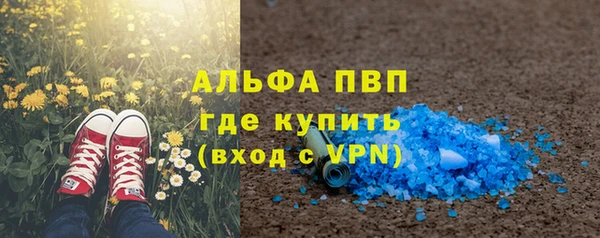 ECSTASY Белокуриха