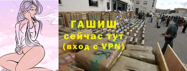 прущие грибы Балабаново