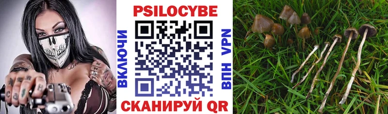 Псилоцибиновые грибы Psilocybe Кумертау
